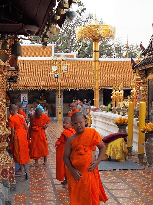 DOI SUTHEP CHIANG MAI  